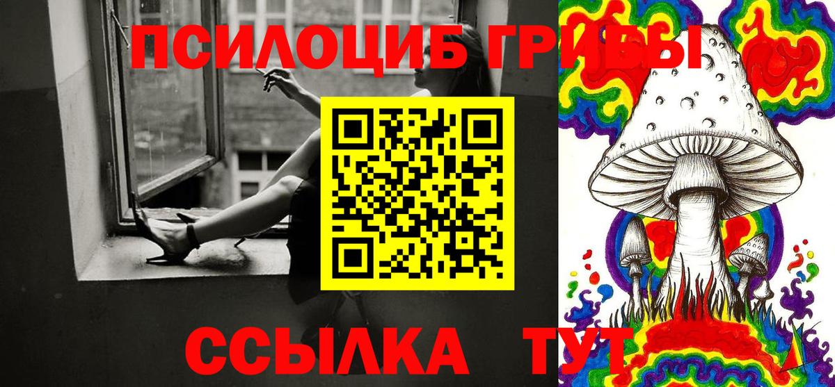 Псилоцибиновые грибы Psilocybe  купить наркотики цена  Карачаевск  Вход с VPN  Псилоцибиновые грибы прущие грибы 